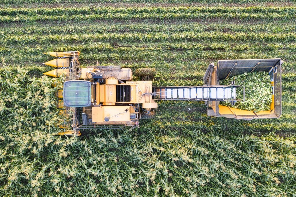 Drone shot of a corn harvester working in a lush green Minnesota field during summer.