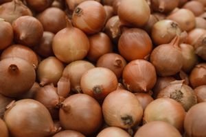 Fresh organic brown onions piled together showcasing natural texture in a close-up shot.